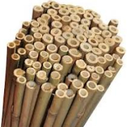 Bamboo Canes